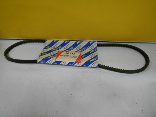 Cinghia alternatore originale