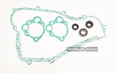 Kit pompa acqua e cuscinetto