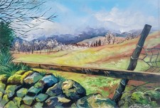 Paesaggio Campagna Colline
