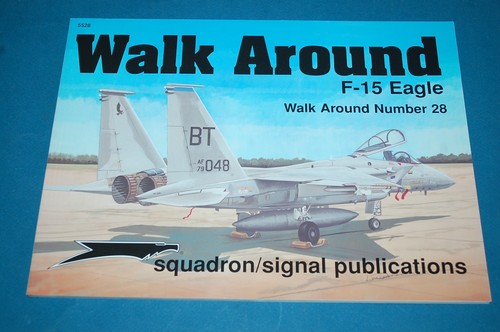 Eagle walk around - eagle,