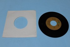 ADRIANO CECCONI - ALE ALE