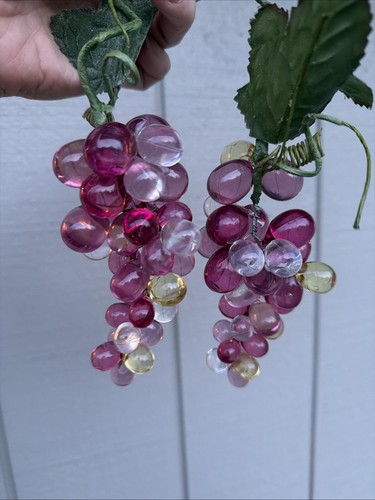 Grappolo uva lucite - , vintage