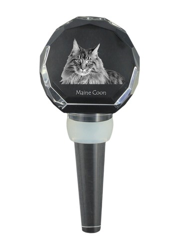 Maine coon tappo in - coon,