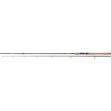 Daiwa R'Nessa Spinning 2,40M