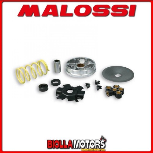 513863 variatore malossi - 513863,