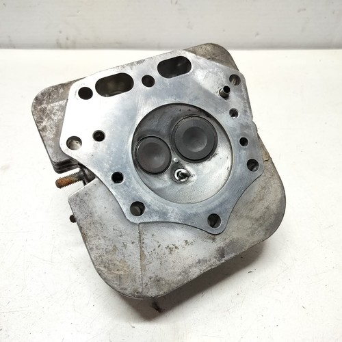 11008 7036 kawasaki - 11008-7036, testa