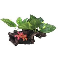 Decorazione Acquario Tronco con Piante Grandi - Ornamento per acquario in promo