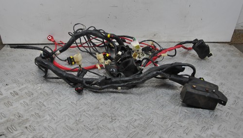 53715 cablaggio impianto - cablaggio,