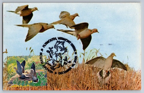 3293c sonoran desert white - #3293c,