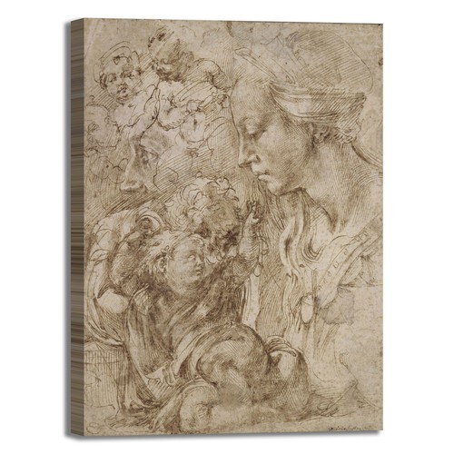 Michelangelo studi santa
