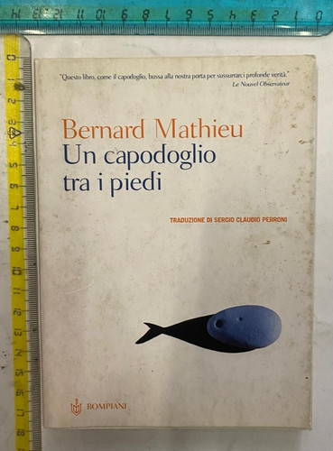 Bernrd mathieu capodoglio - mathieu, un