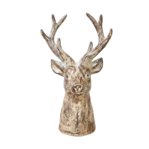 Busto testa cervo - testa, di