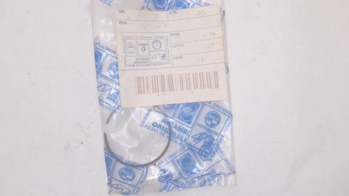 Fascia elastica eaglet - elastica,
