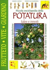 LIBRO PICCOLA ENCICLOPEDIA