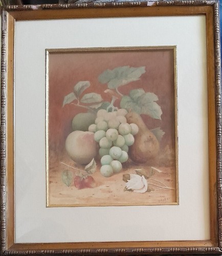 Rider ciotola di frutta - rider,