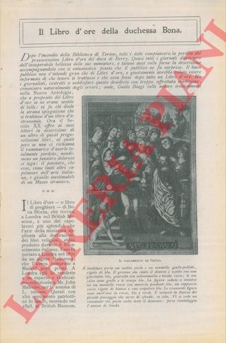 Accascina ciro il libro - -,