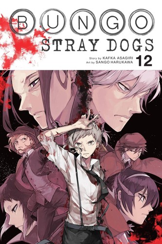 Bungo stray dogs vol - stray, dogs,