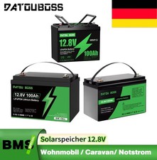 Batteria al litio 12V 100Ah