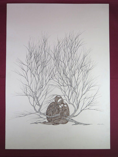 Cristina bullio disegno - cristina,