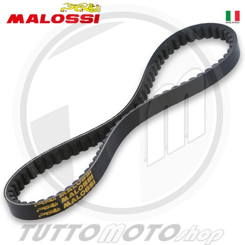 6114127 cinghia malossi - 6114127,