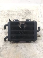 RADIATORE ACQUA COMPLETO PER PEUGEOT ELYSEO 125 - 150 DEL 2001 (e47794)