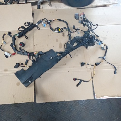 Telaio cablaggio motore jaguar - telaio,