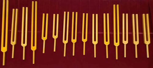 Organo umano oro - organo,