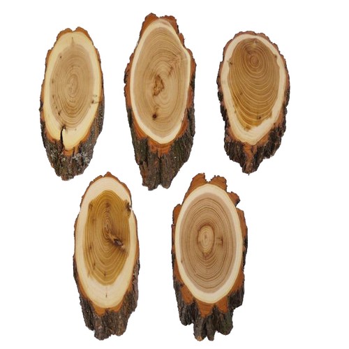 Pezzi acacia piastre trofeo - piastre,