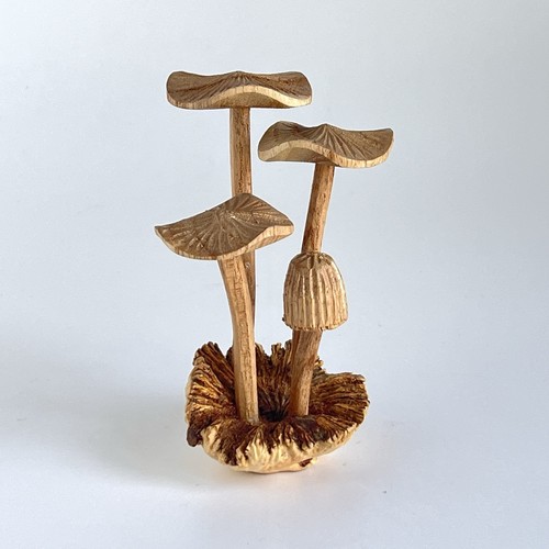 Scultura grappoli funghi - scultura,