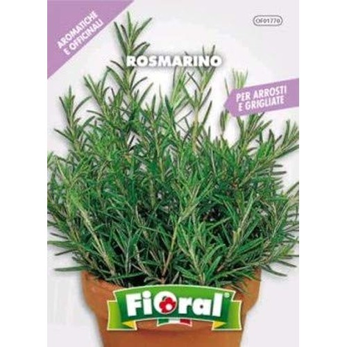 Sementi piante aromatiche - di, e