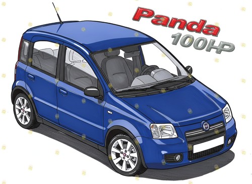 Fiat panda 100hp - fiat,