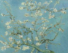 QUADRO STAMPA SU TELA CANVAS - van gogh il mandorlo - arredo classico moderno 