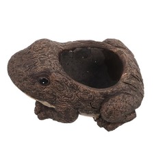  Vaso Piante Grasse Pianta