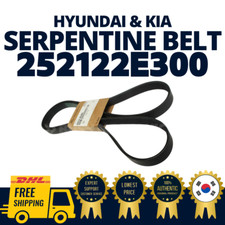 Cinghia serpentina a coste