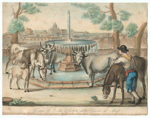 Stampa antica 1822 - antica, salvatore