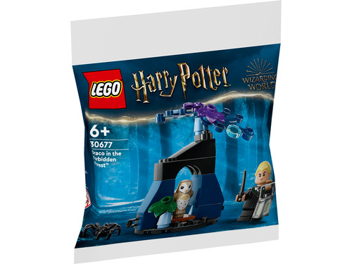 Lego harry potter - drago, dans