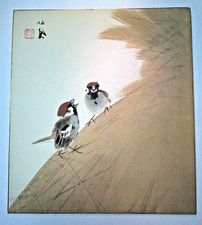 Riproduzione Stampa Passero