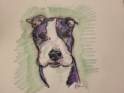 Quadro staffordshire bull - quadro,