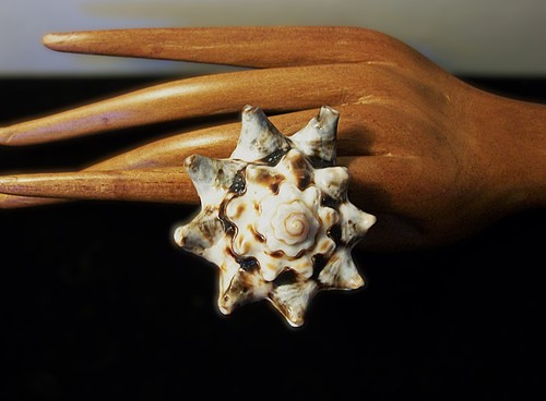 Anello dichiarazione naturale