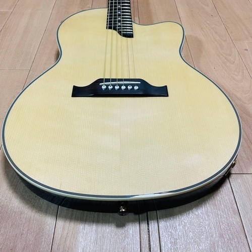 Chitarra elettrica acustica