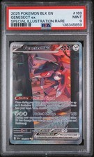 2025 Pokemon EN Bullone Nero