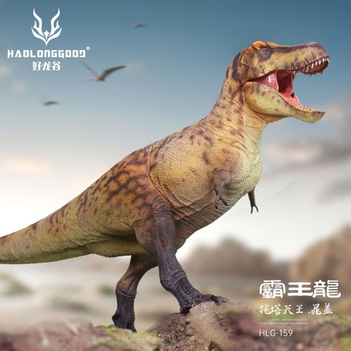 Haolonggood tyrannosaurus rex - haolonggood,