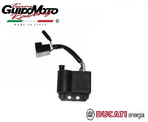 Centralina elettronica ducati - centralina,