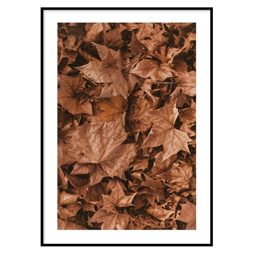 Poster foglie - poster, arredo