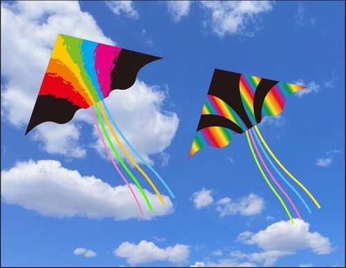 Aquilone arcobaleno linea