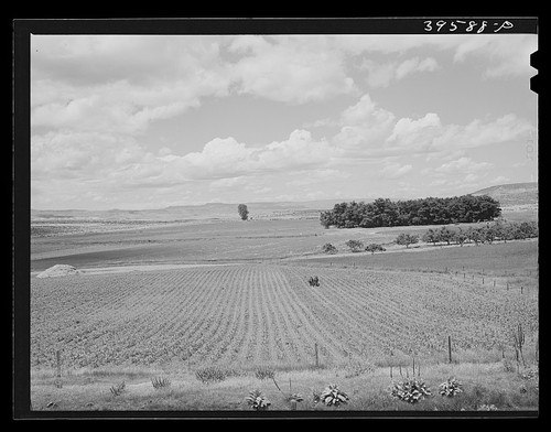 Foto canyon county idaho 1941 - county,