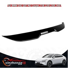 Spoiler posteriore labbro nero