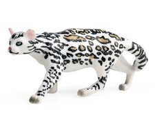 Ocelot leopardus pardalis - ocelot,