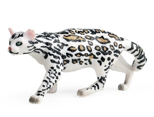 Ocelot leopardus pardalis - leopardus,