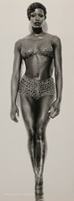 1992 Vintage HERB RITTS